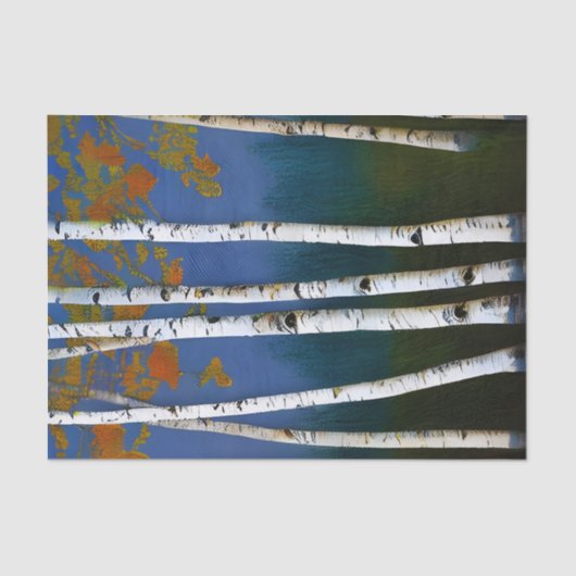 Beauful Autumn Birch Tissuepapier (Voorkant)