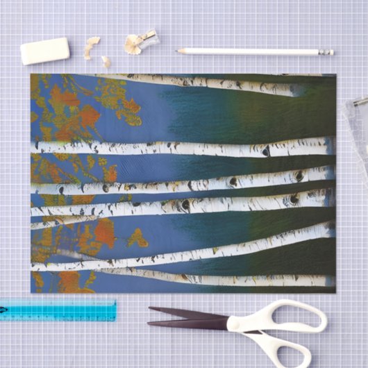 Beauful Autumn Birch Tissuepapier (Craft)