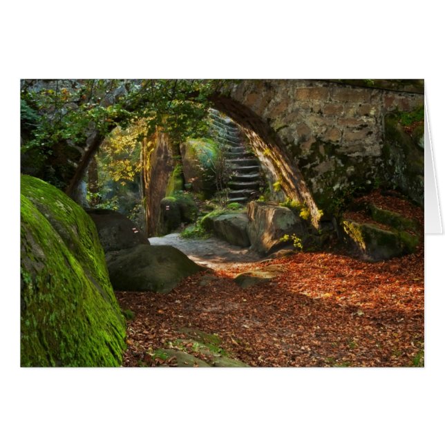 Beauful Autumn Scene (Voorkant Horizontaal)