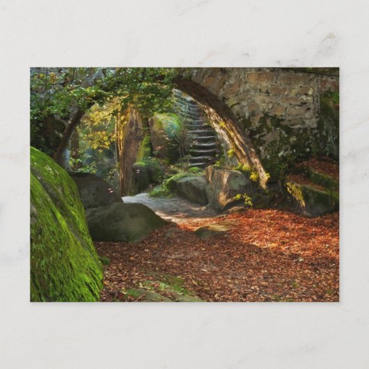 Beauful Autumn Scene Briefkaart (Voorkant)