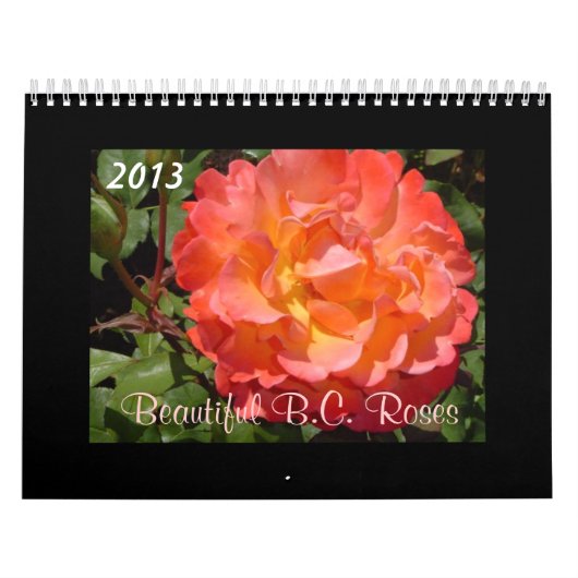 Beauful B.C. Rozen 2013 Kalender (Hoes)