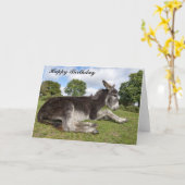Beauful baby Donkey Birthday Kaart (Gele Bloem)
