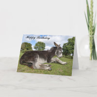 Beauful baby Donkey Birthday Kaart