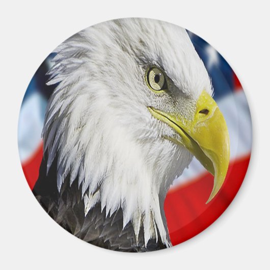 Beauful Bald Eagle head and a American flag 1 Magneet (Voorkant)