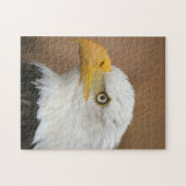 Beauful Bald Eagle Legpuzzel (Horizontaal)