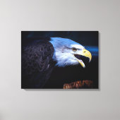 Beauful Bald Eagle on Rock Canvas Afdruk (Voorkant)