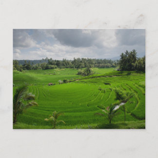 Beauful Bali County Briefkaart