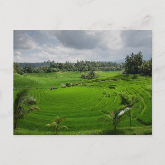 Beauful Bali County Briefkaart (Voorkant)