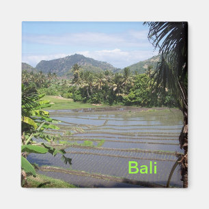 Beauful Bali rice paddies Magneet