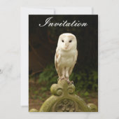 Beauful Barn Owl Invitation Kaart (Voorkant)