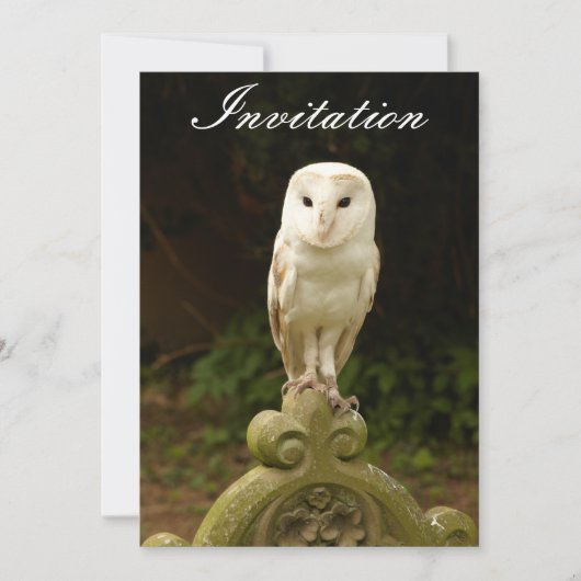 Beauful Barn Owl Invitation Kaart (Voorkant)
