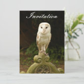 Beauful Barn Owl Invitation Kaart (Staand voorkant)