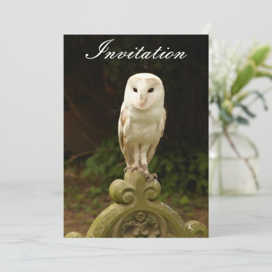 Beauful Barn Owl Invitation Kaart (Staand voorkant)