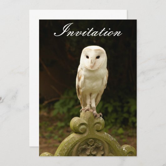 Beauful Barn Owl Invitation Kaart (Voorkant / Achterkant)