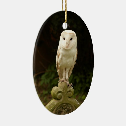 Beauful Barn Owl Ornament (Rechts)