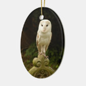 Beauful Barn Owl Ornament (Links)