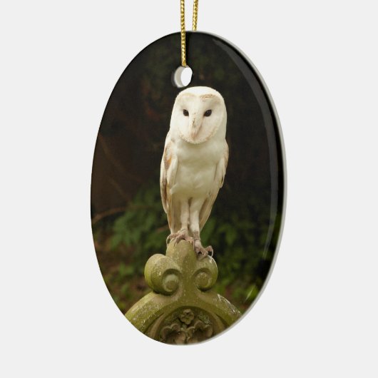 Beauful Barn Owl Ornament (Links)