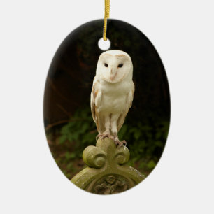 Beauful Barn Owl Ornament