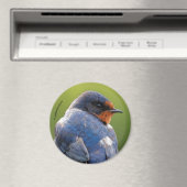 Beauful Barn Swallow Magneet (Insitu (Vaatwasser))