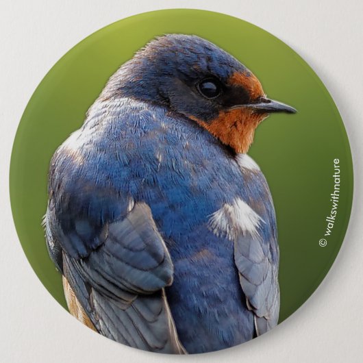 Beauful Barn Swallow Ronde Button 6,0 Cm (Voorkant)
