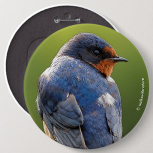 Beauful Barn Swallow Ronde Button 6,0 Cm
