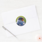 Beauful Barn Swallow Ronde Sticker (Envelop)