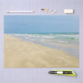 Beauful Beach Seaside Sandpiper-fotografie Tissuepapier (Craft)