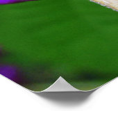 Beauful Beautyberry Print (Hoek)