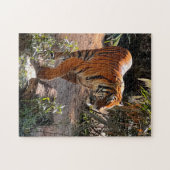 Beauful Bengal Tiger Jigzaag Puzzle Legpuzzel (Horizontaal)