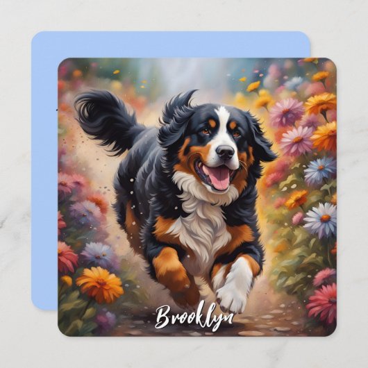 Beauful Bernese Mountain Dog (Voorkant / Achterkant)