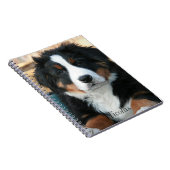 Beauful Bernese Mountain Dog Notitieboek (Rechterzijde)