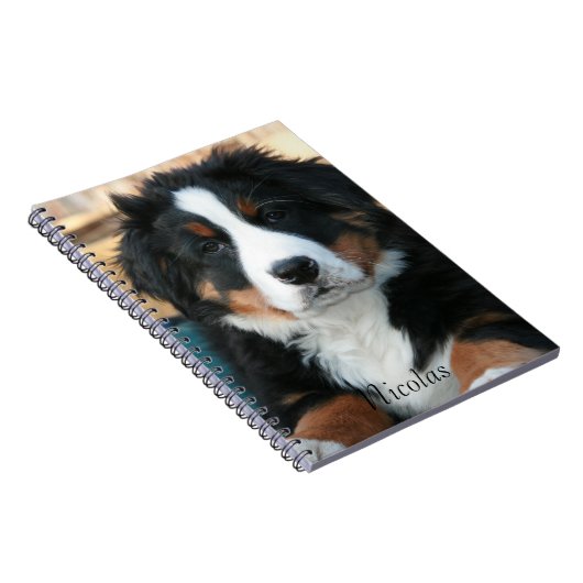 Beauful Bernese Mountain Dog Notitieboek (Rechterzijde)