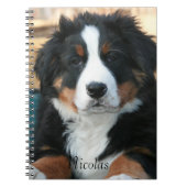 Beauful Bernese Mountain Dog Notitieboek (Voorkant)