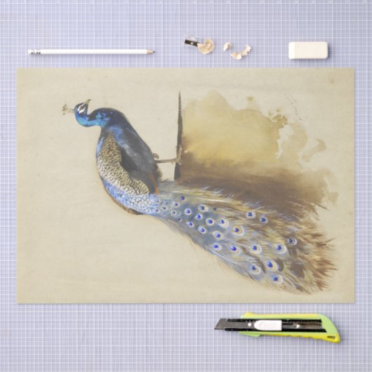 Beauful Bird Peacock  Waterverf Tissuepapier (Craft)