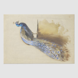 Beauful Bird Peacock  Waterverf Tissuepapier