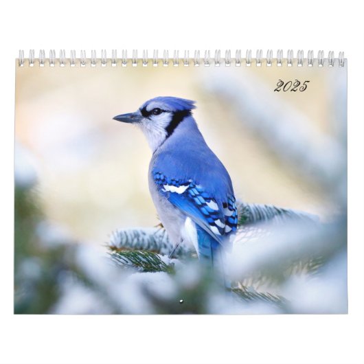 Beauful Bird Photography Wall Calendar Song Bird Kalender (Hoes)