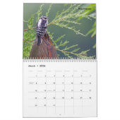 Beauful Bird Photography Wall Calendar Song Bird Kalender (Mar 2026)