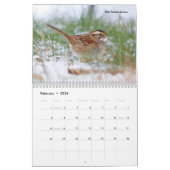 Beauful Bird Photography Wall Calendar Song Bird Kalender (Feb 2026)