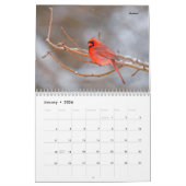 Beauful Bird Photography Wall Calendar Song Bird Kalender (Jan 2026)