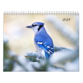 Beauful Bird Photography Wall Calendar Song Bird Kalender