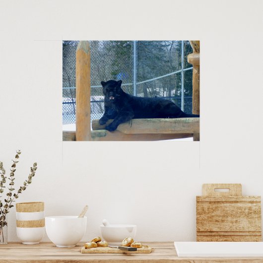 Beauful Black Jaguar Poster (Keuken)