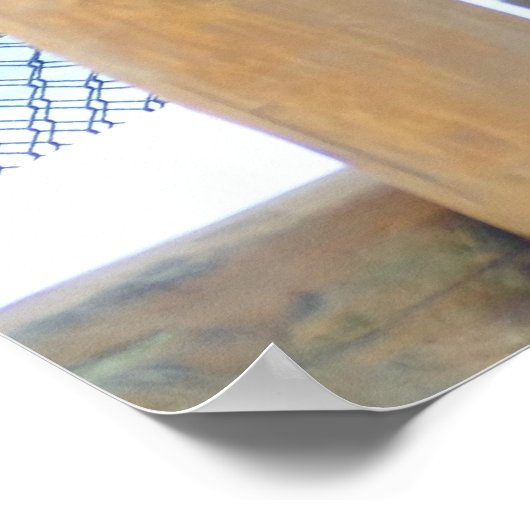 Beauful Black Jaguar Poster (Hoek)