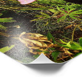 Beauful Black Labrador Dog-foto Foto Afdruk (Hoek)