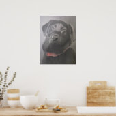 Beauful Black Labrador Poster (Keuken)