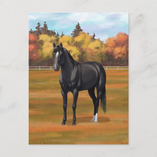 Beauful Black Quarter Horse Stallion Briefkaart (Voorkant)