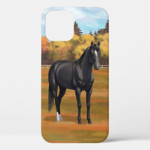 Beauful Black Quarter Horse Stallion Case-Mate iPhone Case