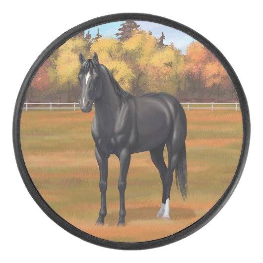 Beauful Black Quarter Horse Stallion Hockey Puck (Voorkant)