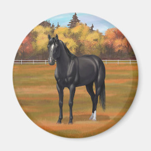 Beauful Black Quarter Horse Stallion Magneet