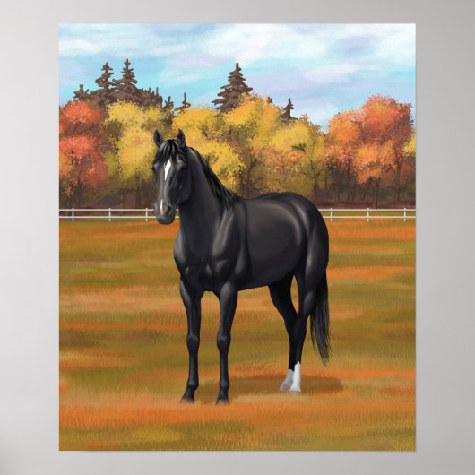 Beauful Black Quarter Horse Stallion Poster (Voorkant)
