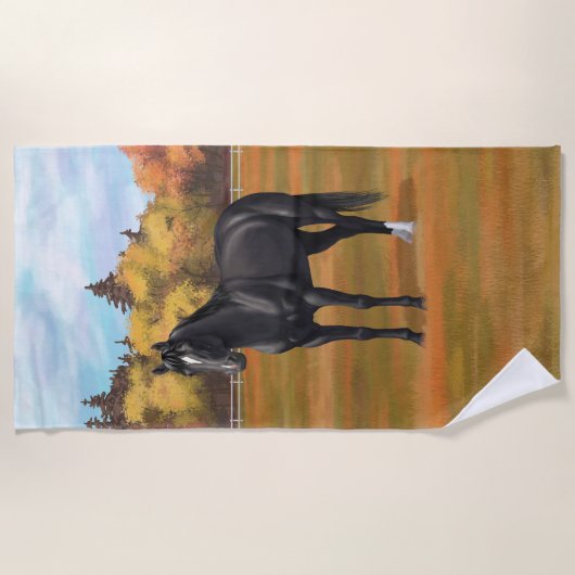 Beauful Black Quarter Horse Stallion Strandlaken (Voorkant)